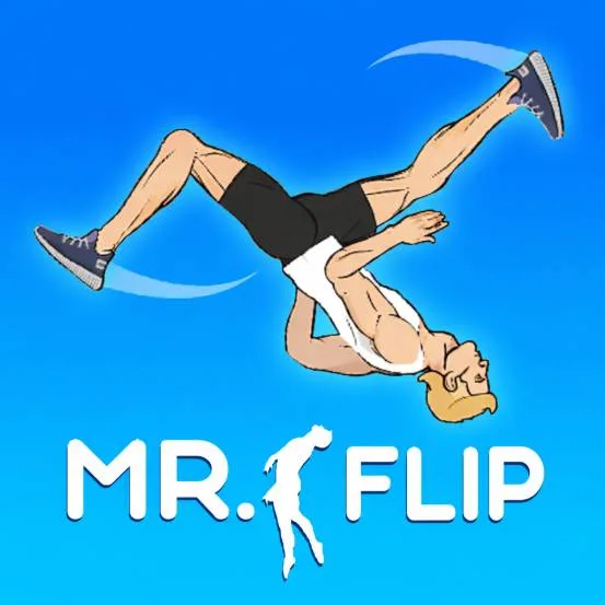 Mr Flip controls guide